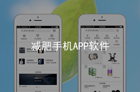 减肥手机APP开发案例